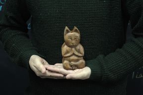 Бали магическа кутия - йога котка