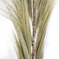 Rayung Grass Blond - 1,6 м
