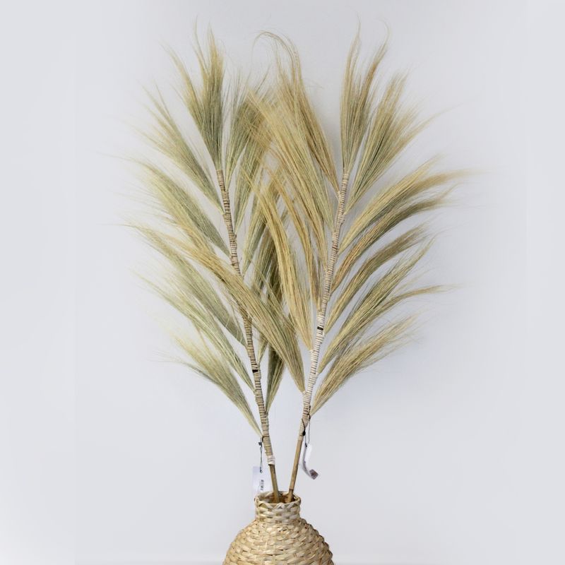 Rayung Grass Blond - 1,6 м