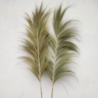 Rayung Grass естествен - 2m