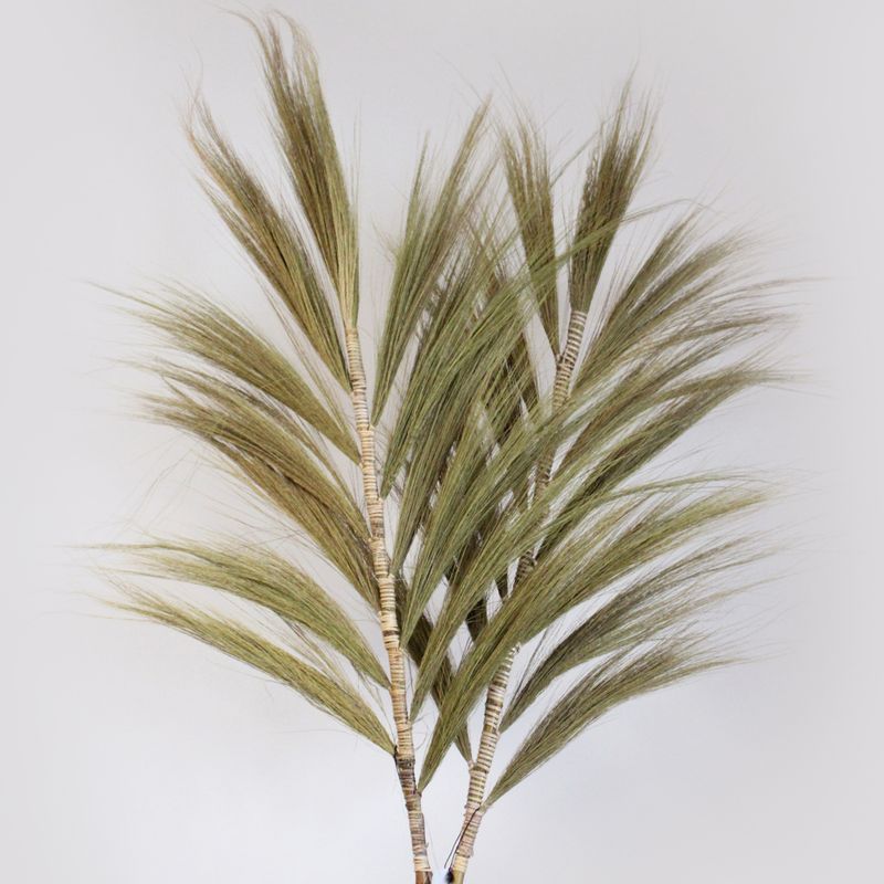 Rayung Grass естествен - 2m