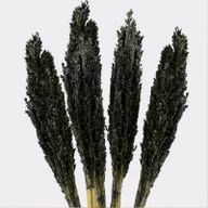 Cantal Grass Bunch - Черен