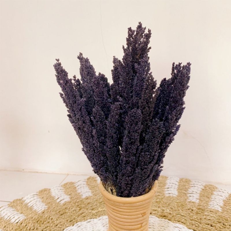 Cantal Grass Bunch - Черен