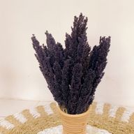Cantal Grass Bunch - Черен