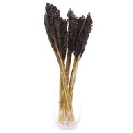 Cantal Grass Bunch - Черен