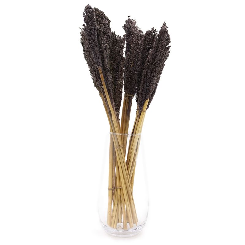 Cantal Grass Bunch - Черен