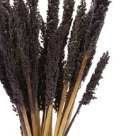 Cantal Grass Bunch - Черен