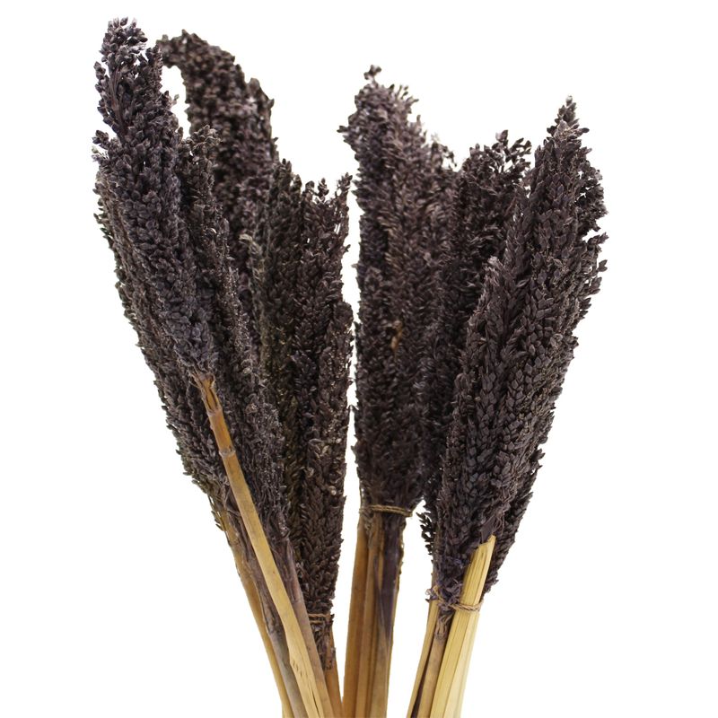 Cantal Grass Bunch - Черен
