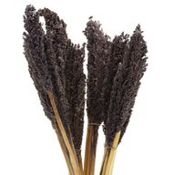 Cantal Grass Bunch - Черен