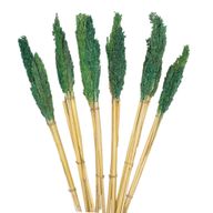 Cantal купчина трева - теал