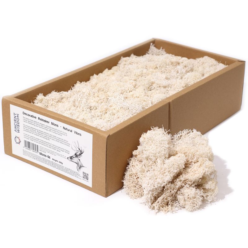 Качествен декоративен Reindeer Moss - Natural Vibes - кутия 635 г