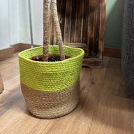 Голяма кошница за съхранение от памучно/джутово въже, 25x25 см - писташово зелено