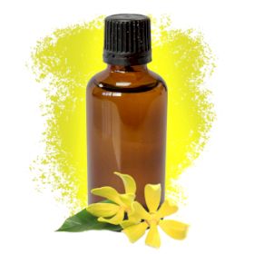 Небрандирано Етерично Масло "Ylang Ylang III" - 50мл