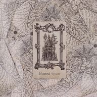 Оракулски Карти The Spellbook - Тесте За Вещерство