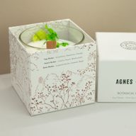 Ботаническа Соева Свещ Agnes & Cat - Fellberry