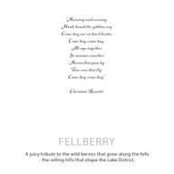 Ботаническа Соева Свещ Agnes & Cat - Fellberry