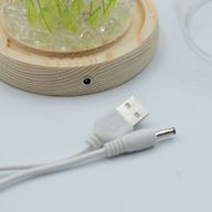 Градински купол с флорално сияние - 20 лалета - LED USB