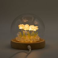 Градински купол с флорален блясък - 10 розови рози - LED USB