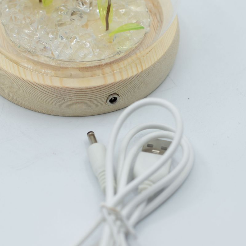 Градински купол с флорално сияние - 2 глухарчета - LED USB