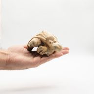 Ръчно изработена дървена художествена резба - октопод пазител на океана