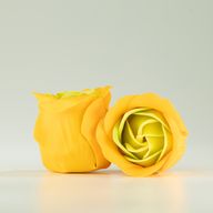 Кутия с 3 сапунени цветя - пролетни рози