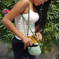 Сладки чанти с животни  - тигър