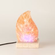 USB листообразен (мулти)