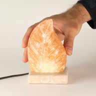 USB листообразен (мулти)