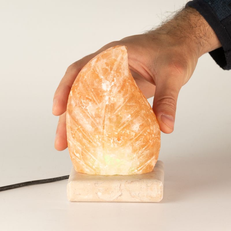 USB листообразен (мулти)