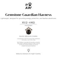 PAW - XS (2-4 кг) Шлейка за кучета Step-in Guardian с рефлекторна мрежа - каменно сиво - черен обсидианов талисман