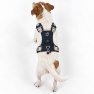 PAW - S (4-8 кг) Step-in Guardian Harness за кучета с отразяваща мрежа - Rock Grey - Черен обсидианов талисман
