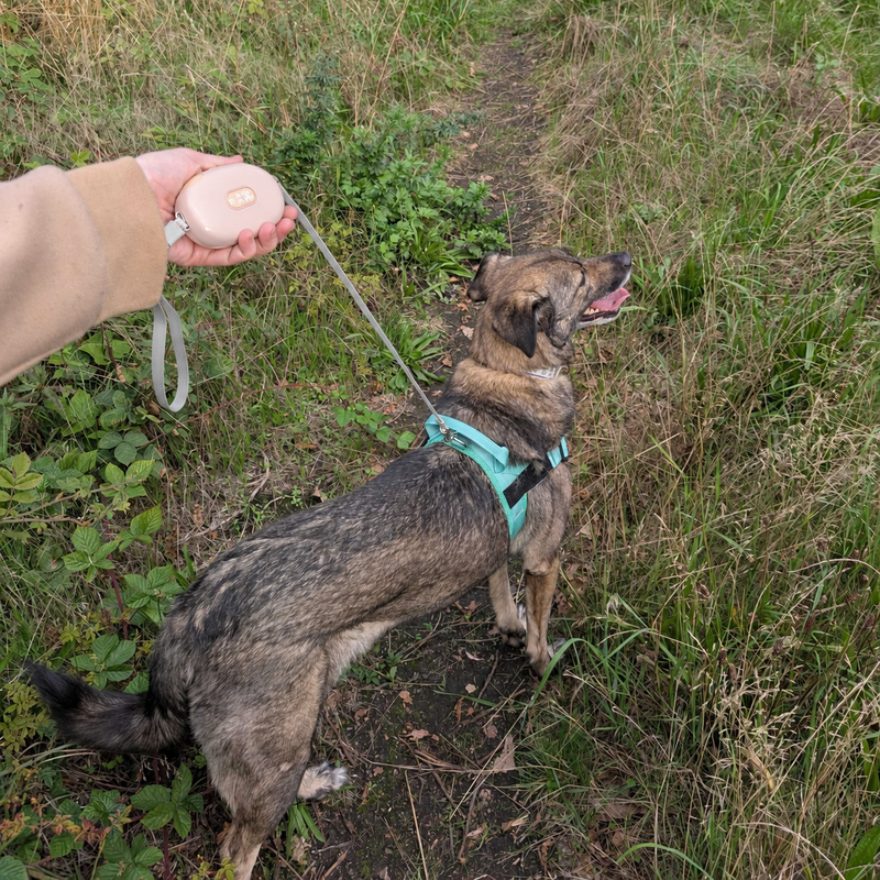 Paw Pet Leash - Pocket Pod - Розов - 1.5m