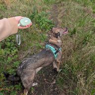 Каишка за домашни любимци Paw Pet - Pocket Pod - зелено - 1.5 м
