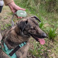Каишка за домашни любимци Paw Pet - Pocket Pod - зелено - 1.5 м