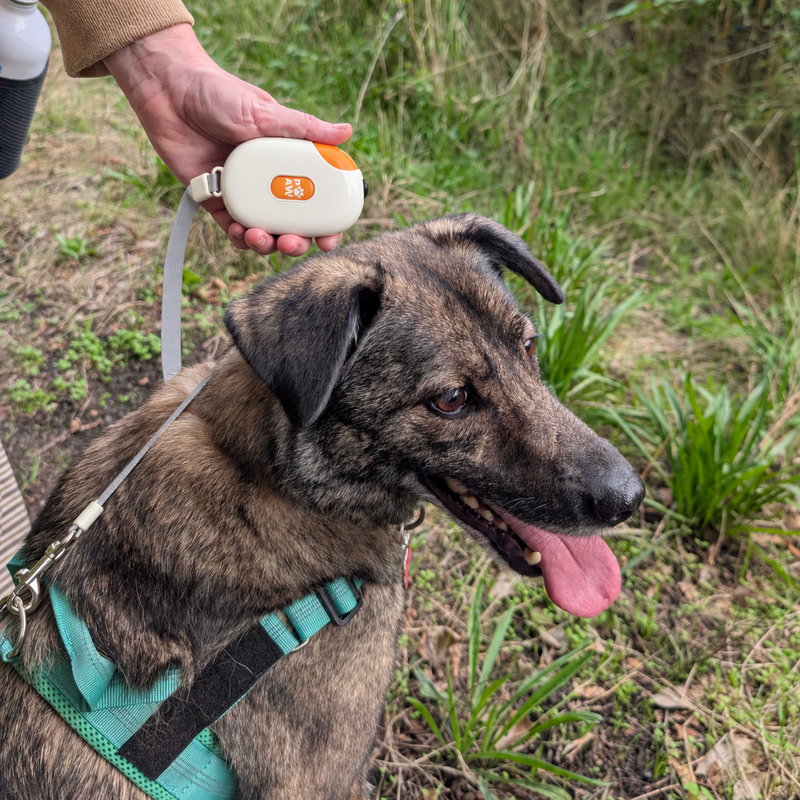 Повод за домашни любимци Paw Pet Leash - Pocket Pod - Бял - 1.5 м