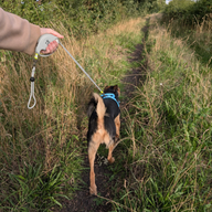 Paw Pet Leash - слонова каишка - сива - 2 м