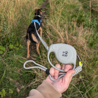 Paw Pet Leash - слонова каишка - сива - 2 м
