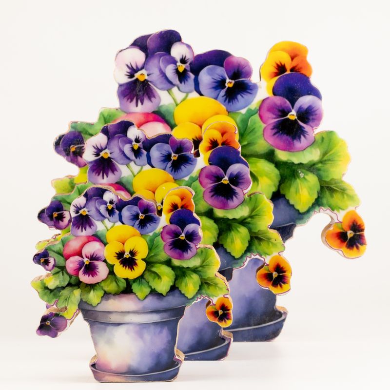 Дървени Стайни Растения - Голяма Теменуга