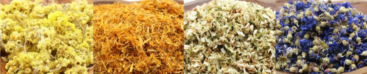 Pure Dried Floral Wholesale